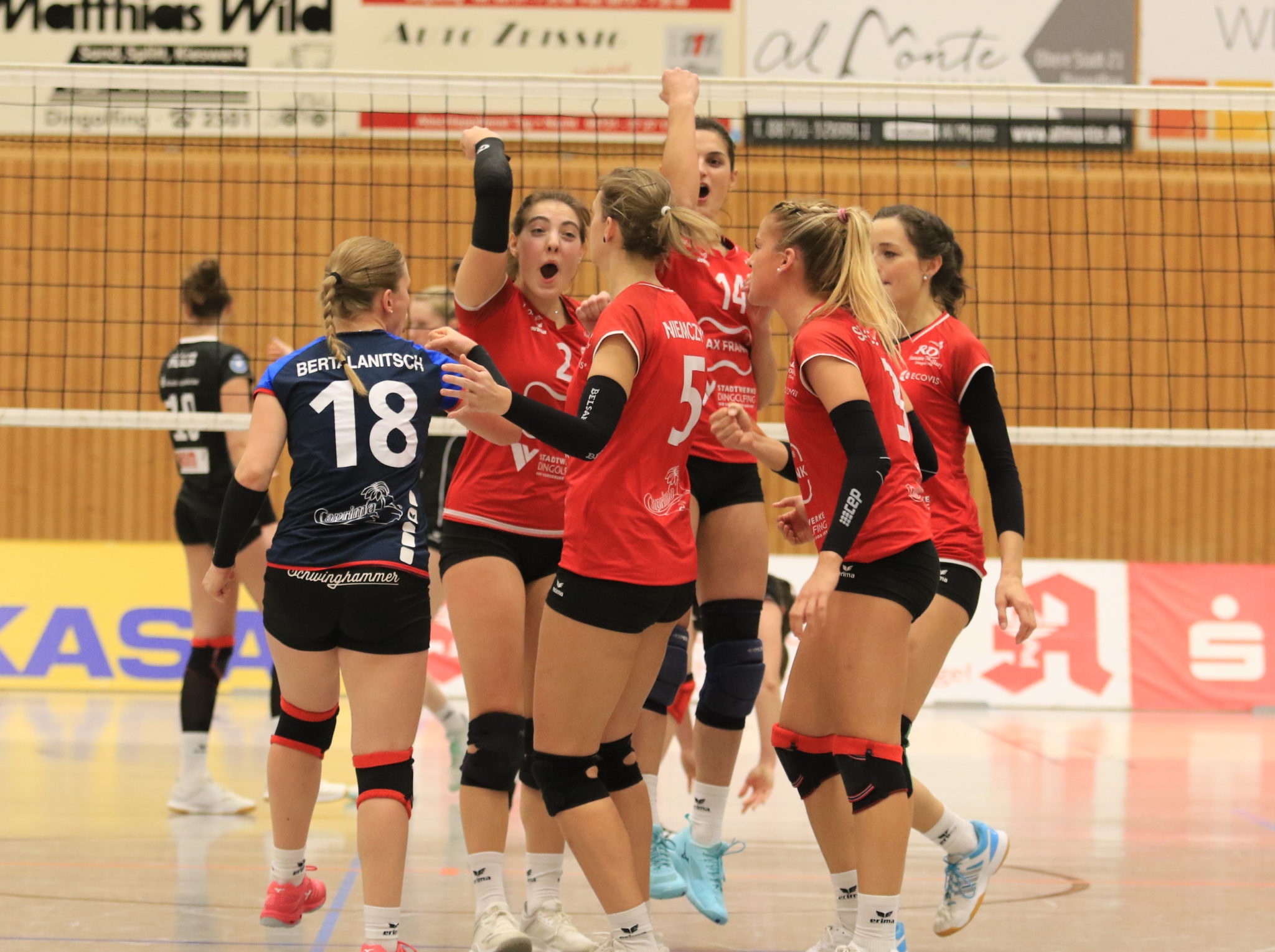 Volleyball Zum Jahresabschluss Nach Planegg In Der 2 Bundesliga